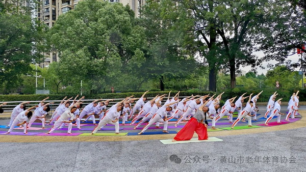 2024年黄山市中老年瑜伽健身展示活动暨第十届国际瑜伽日全民健身公益活动举办华体会hth(图5)